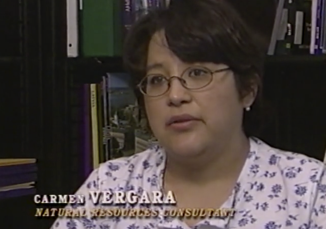 Carmen Vergara