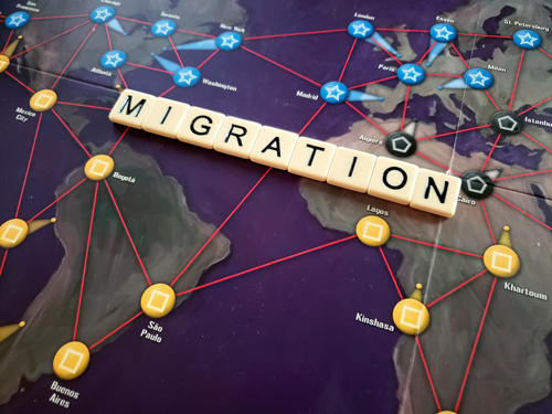 migration game board photo