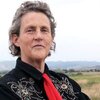 picture of mary temple grandin